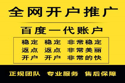 案例解析：揭秘高效竞价推广技巧