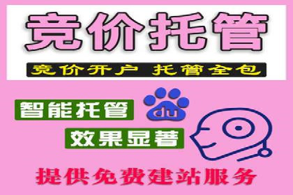 百度竞价包年推广策略深度解读与案例分析
